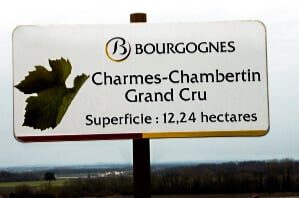 bourgogne-charmes-chambertin-infinities-wines