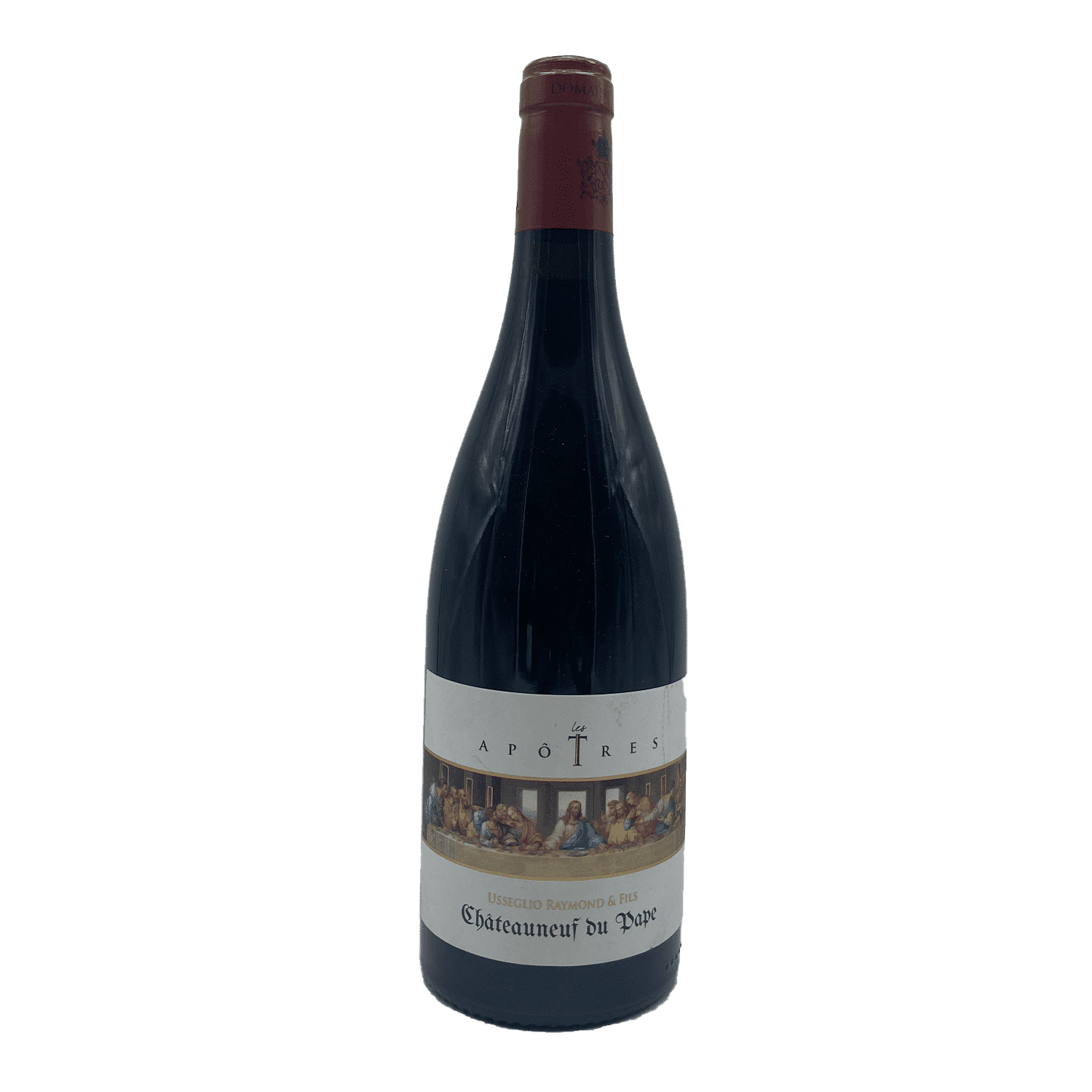 Vin rouge Côtes du Rhône Châteauneuf du Pape 2019 Domaine Usseglio