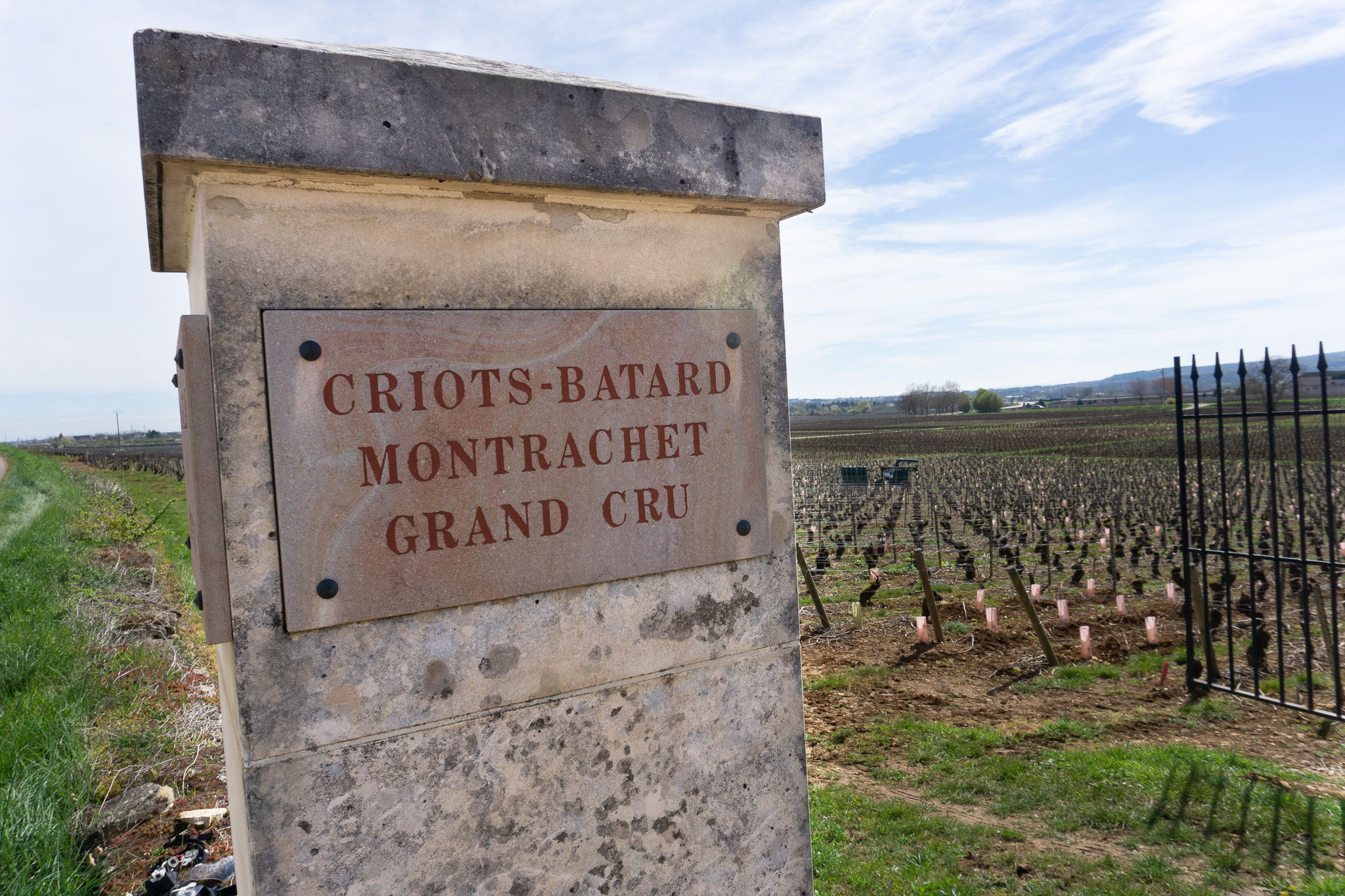 Criots-Bâtards-Montrachet Grand Cru