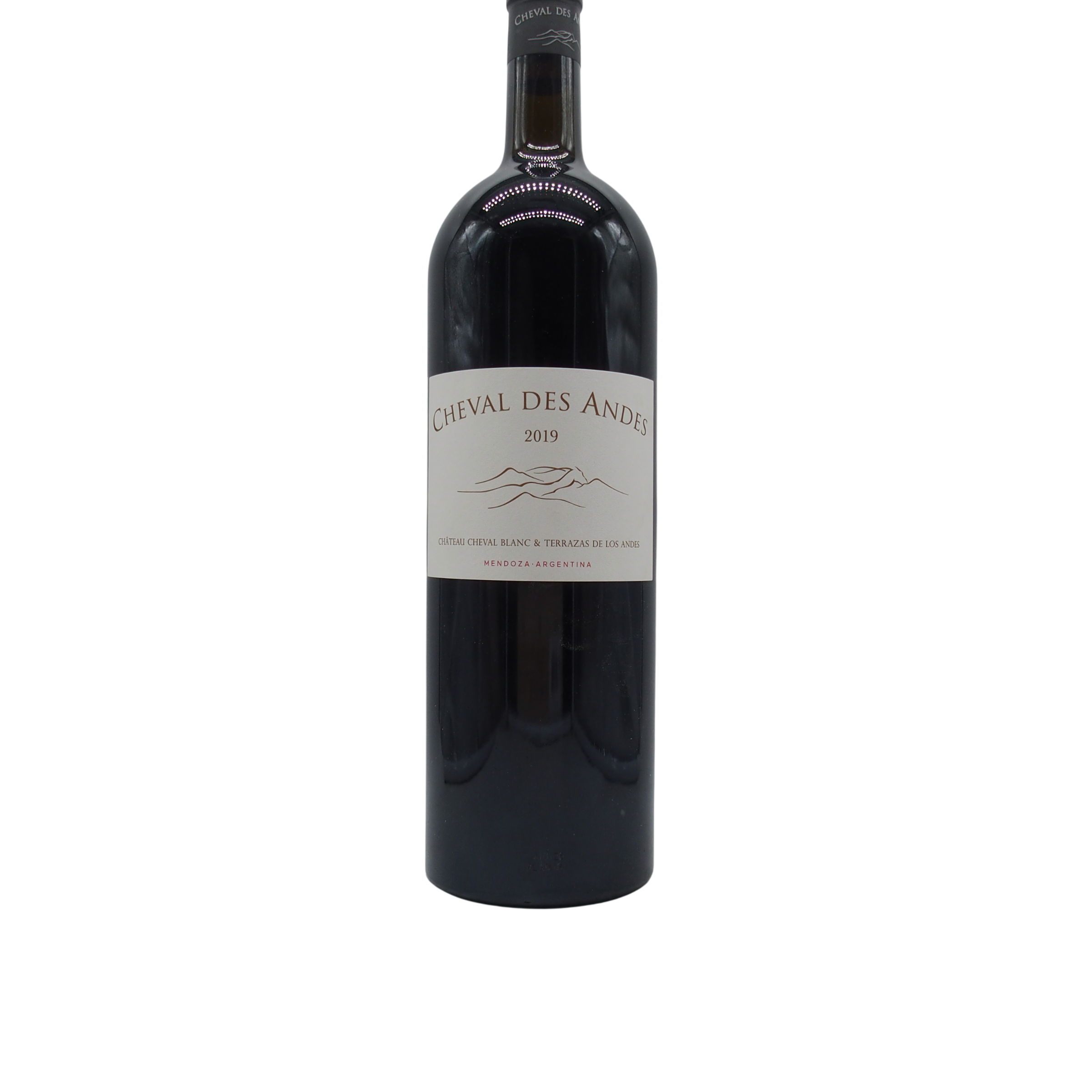argentine-magnum-cheval-des-andes-2019-infinities-wines Magnum Cheval des Andes 2019