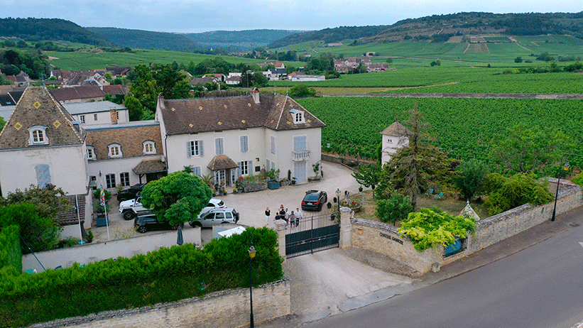 bourgogne-domaine-gaunoux-infinities-wines