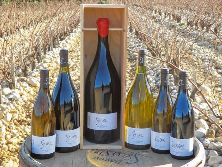 languedoc-domaine-saint-sylvestre-infinities-wines