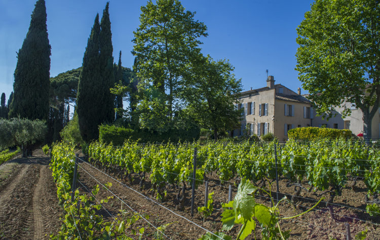 provence-domaine tempier-infinities-wines