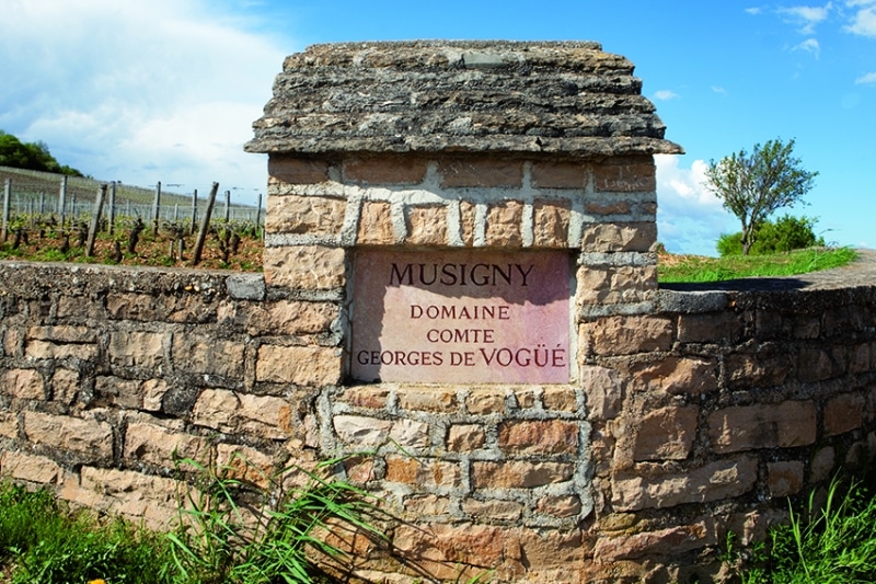 Domaine Comte Georges de Vogüé
