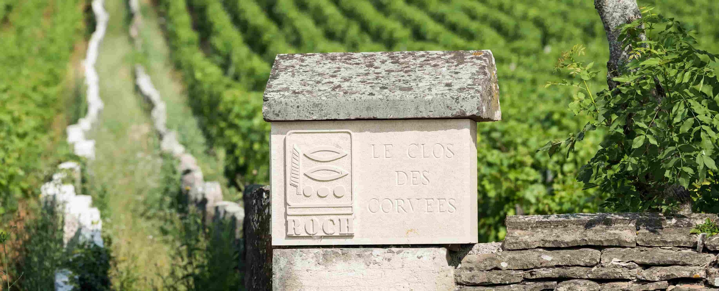 Domaine Prieuré Roch