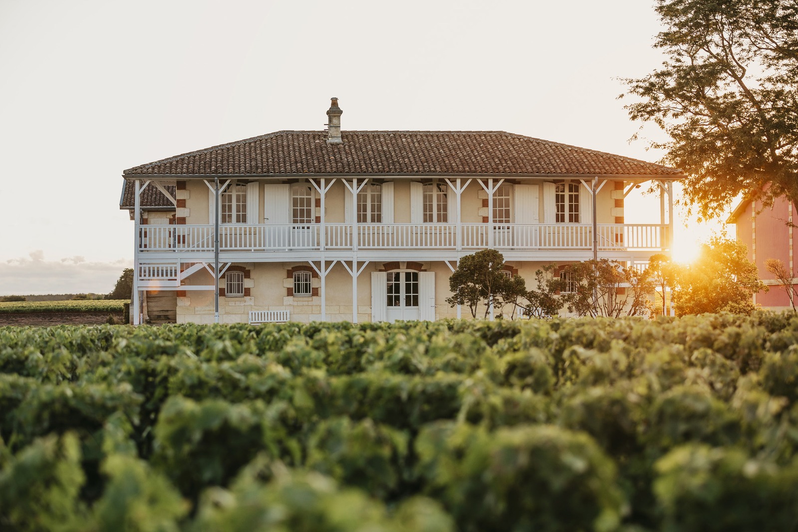 Château Haut Batailley